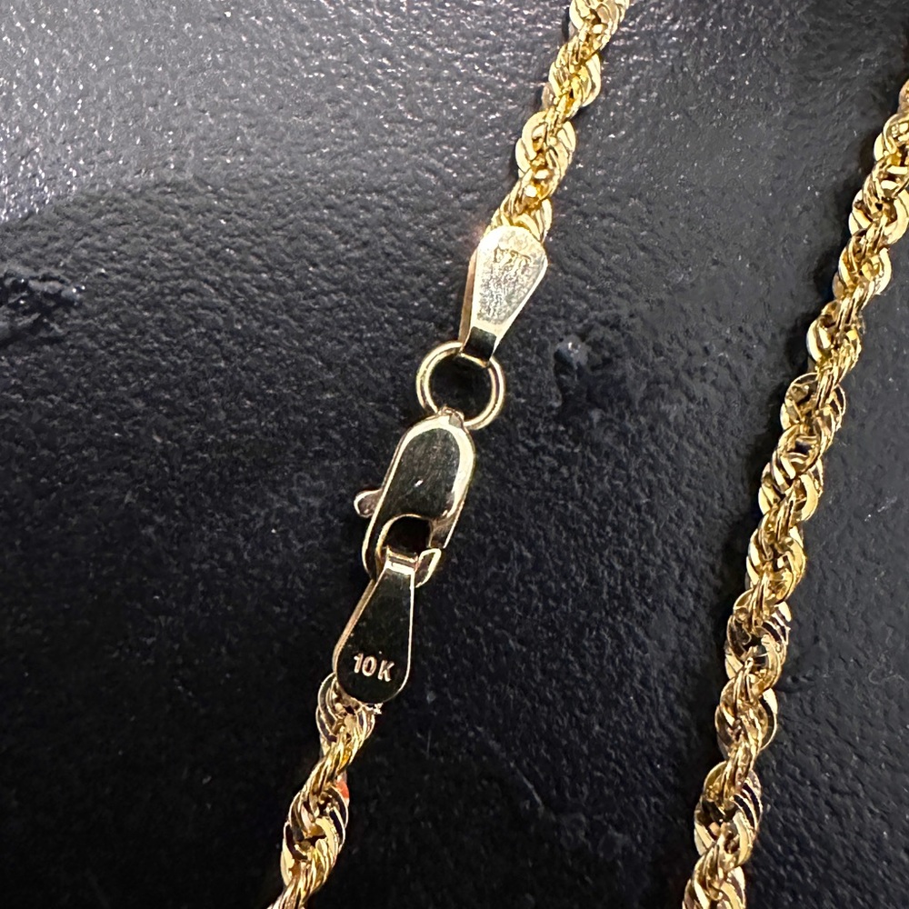 10kt gold chain and charm